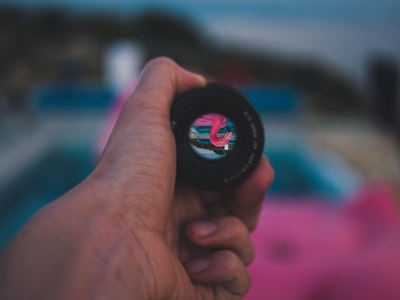 选择聚焦摄影镜头显示粉红色的火烈鸟
